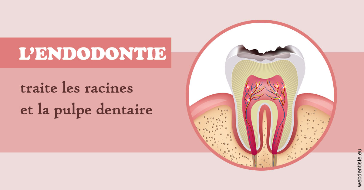 https://dr-mauger-benoit.chirurgiens-dentistes.fr/L'endodontie 2
