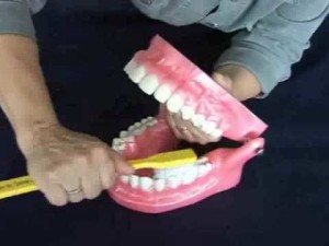 Brossage des dents sans appareil